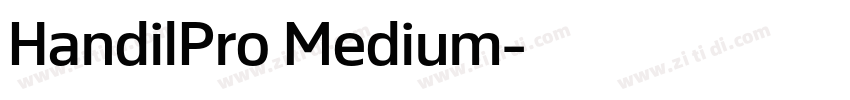 HandilPro Medium字体转换